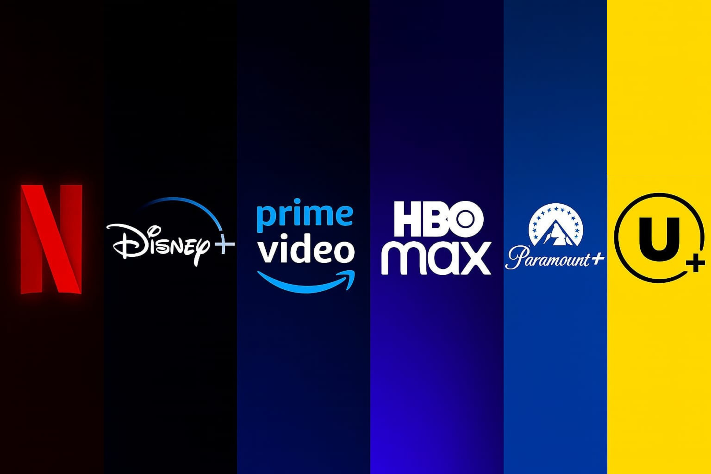 Verificador de Correos